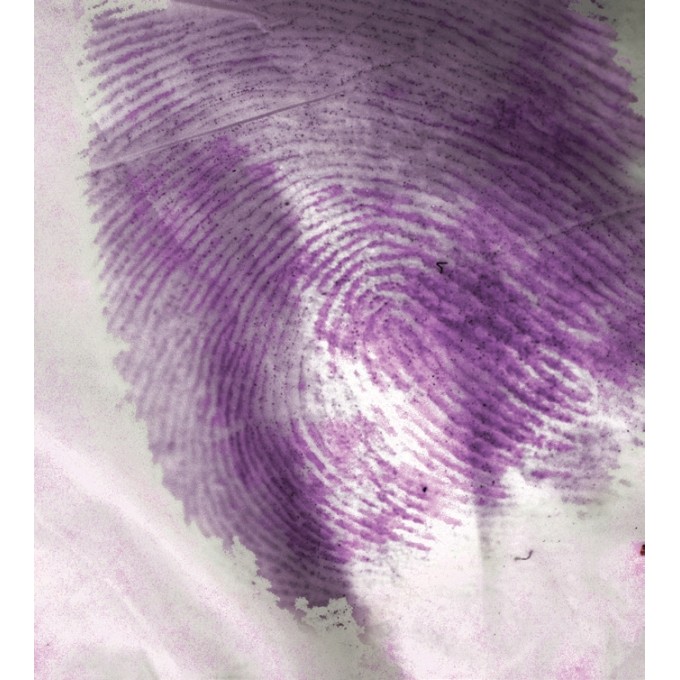 Incinta vaporizare Ninhidrina in Vid - AminoVac